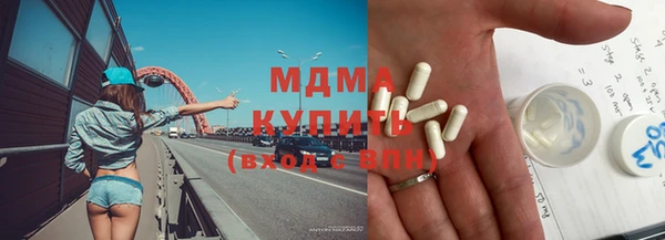 хмурый Аркадак