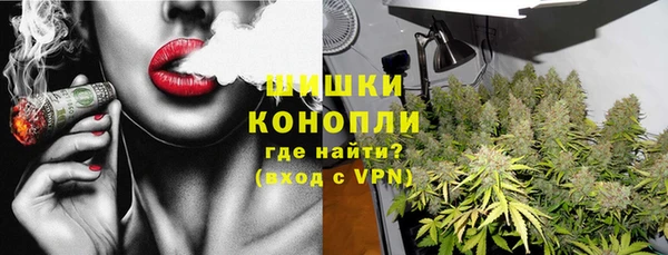 трава Арсеньев