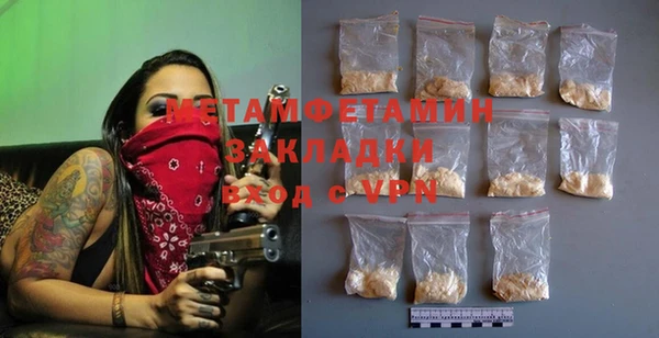 прущие грибы Новодвинск