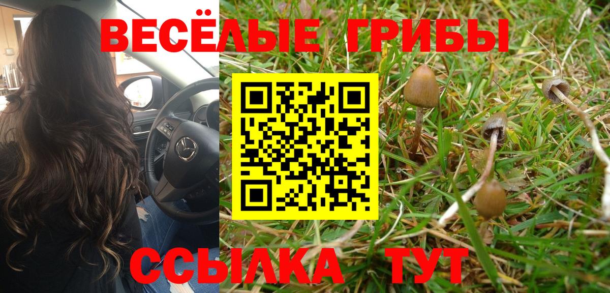 Галлюциногенные грибы ЛСД  Галлюциногенные грибы Psilocybine cubensis  Мурманск  Вход с VPN 